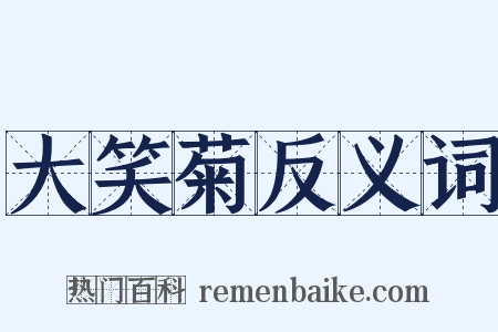 大笑菊反义词是什么意思的图片